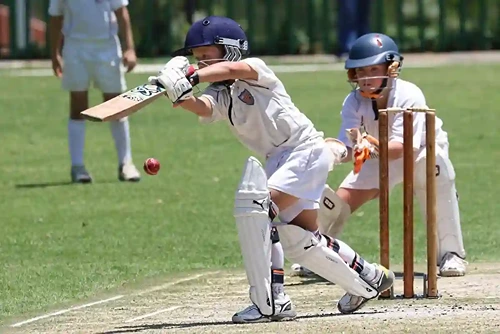 Cricket activity image